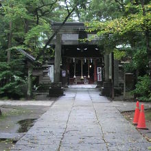 参道を進みますと鳥居の向うに本殿が見えてきます。