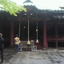 朝靄の中の氷川神社の本殿です。静かな落ち着いた感じです。