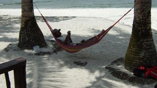 サンゴがほぼ全滅　(&#9694;&#8248;&#9695;)