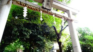 かなり薄暗い雰囲気です。