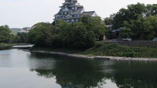 水面に岡山城を映す