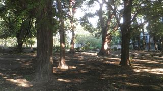 東京タワーや増上寺の眺め