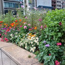 首都高の上部にあたる公園