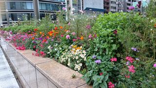 晴海通りが首都高の上を通るところ