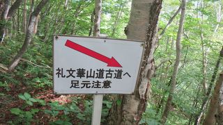 豊浦町森林公園