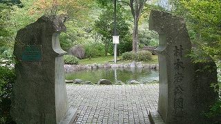 天然記念物「材木岩」の柱状節理が良く見えます