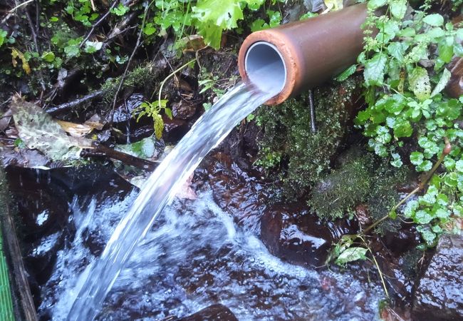 仁宇布の秘境に湧き出でる冷水