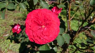 タイの雰囲気で食事