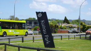 散歩におすすめ