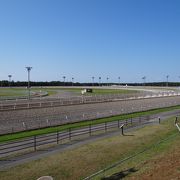 門別競馬場