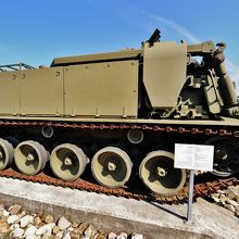 Entpannugspanzer 65
