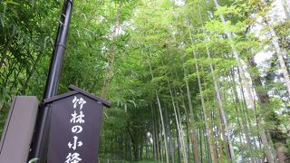 上を向いて歩こう！