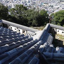 瓦が美しかった