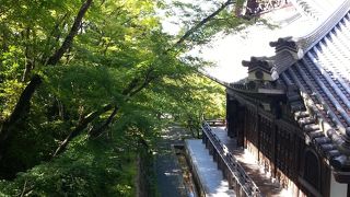 大きくて見所満載の美しいお寺