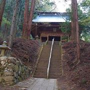 山の斜面いっぱいにつつじの花のお寺