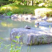 静かで、人がほとんどいない、ゆっくりできる公園