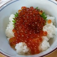 夕食ビュッフェ：お寿司（いくら丼）