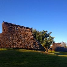 弥生時代の住居の復元したもの