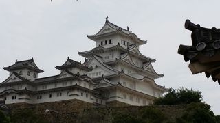 美しさに・・・