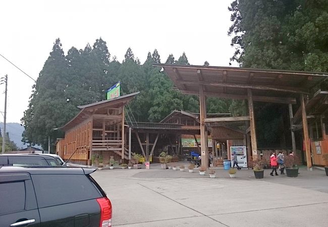 三川観光きのこ園