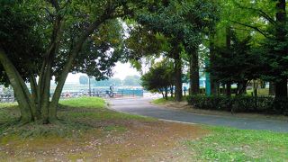 庄内川沿いにあるBBQもできる大きな公園