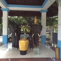 門を入ってすぐゾウさんがいます