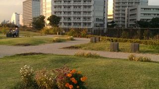 二子玉川の公園