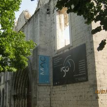 正面は特に被害を意識しません。中に入ってください。