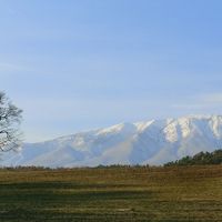 小岩井農場の一本桜と岩手山