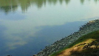 浄土世界を現世で体感する…ことができるかもしれない空間。