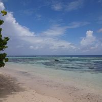 島からの眺め。