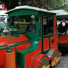 園内を１周できるチューチュートレイン(？)