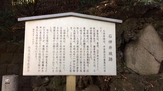 三宝寺池の奥にあります。