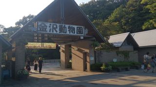 コアラもいる動物園