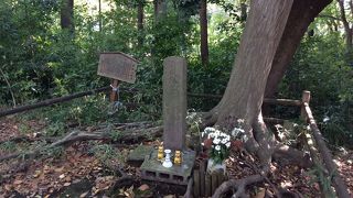 注意しないと通り過ぎてしまいます。