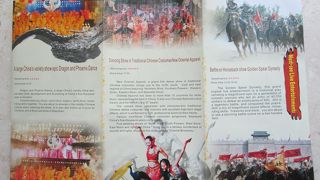 見るべきショーは3つ！！