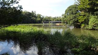 伊勢外宮の外堀か