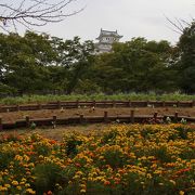 シロトピア記念公園 クチコミ アクセス 営業時間 姫路 フォートラベル シロトピア記念公園 クチコミ アクセス 営業時間 姫路 フォートラベル