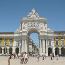 優雅な姿を見せてくれています。