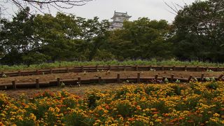 姫路城北側の公園