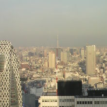 東京スカイツリーも見えます。感激です。もっと早く来ればと。