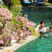 ガーデンプール