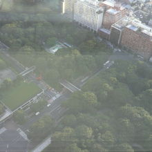 新宿中央公園の中央地域の様子です。都庁展望室からの全景です。