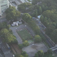 新宿中央公園の南部地域の様子です。都庁展望室からの全景です。