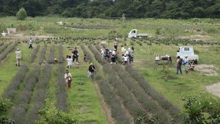 生涯学習センター