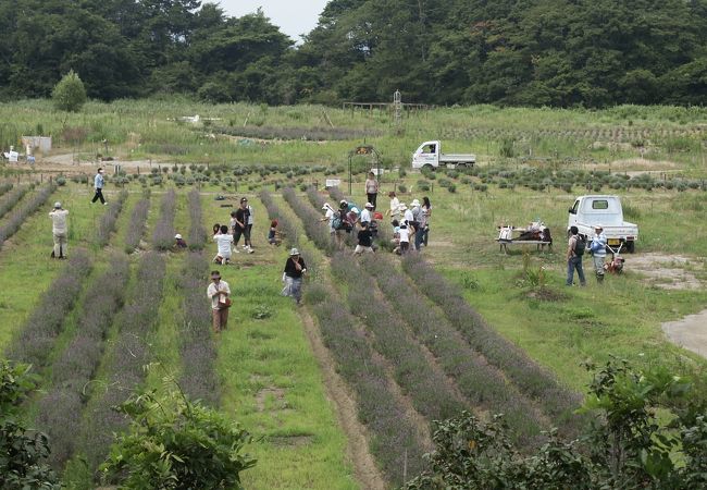 生涯学習センター