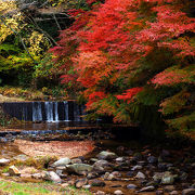 岩屋堂の紅葉