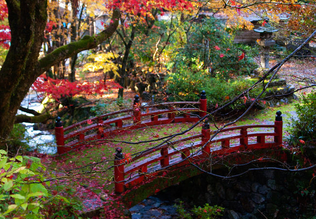 両界山 横蔵寺 クチコミ アクセス 営業時間 揖斐川 フォートラベル