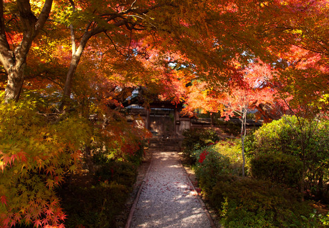 円興寺の紅葉