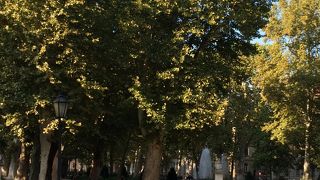 ひと休みするのによい公園